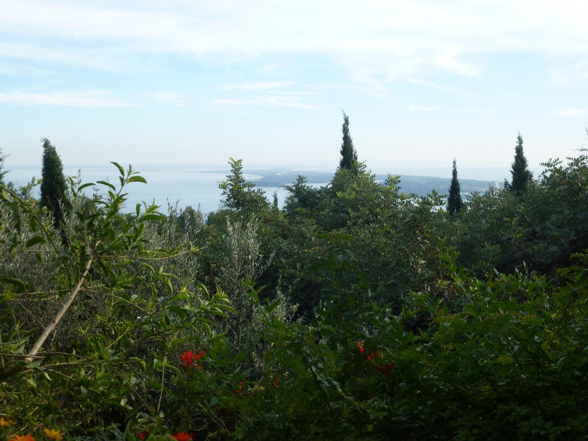 Ha Mar Ao Luar Otel Setúbal Dış mekan fotoğraf