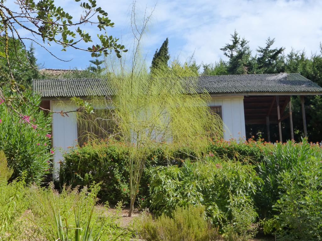 Ha Mar Ao Luar Otel Setúbal Dış mekan fotoğraf
