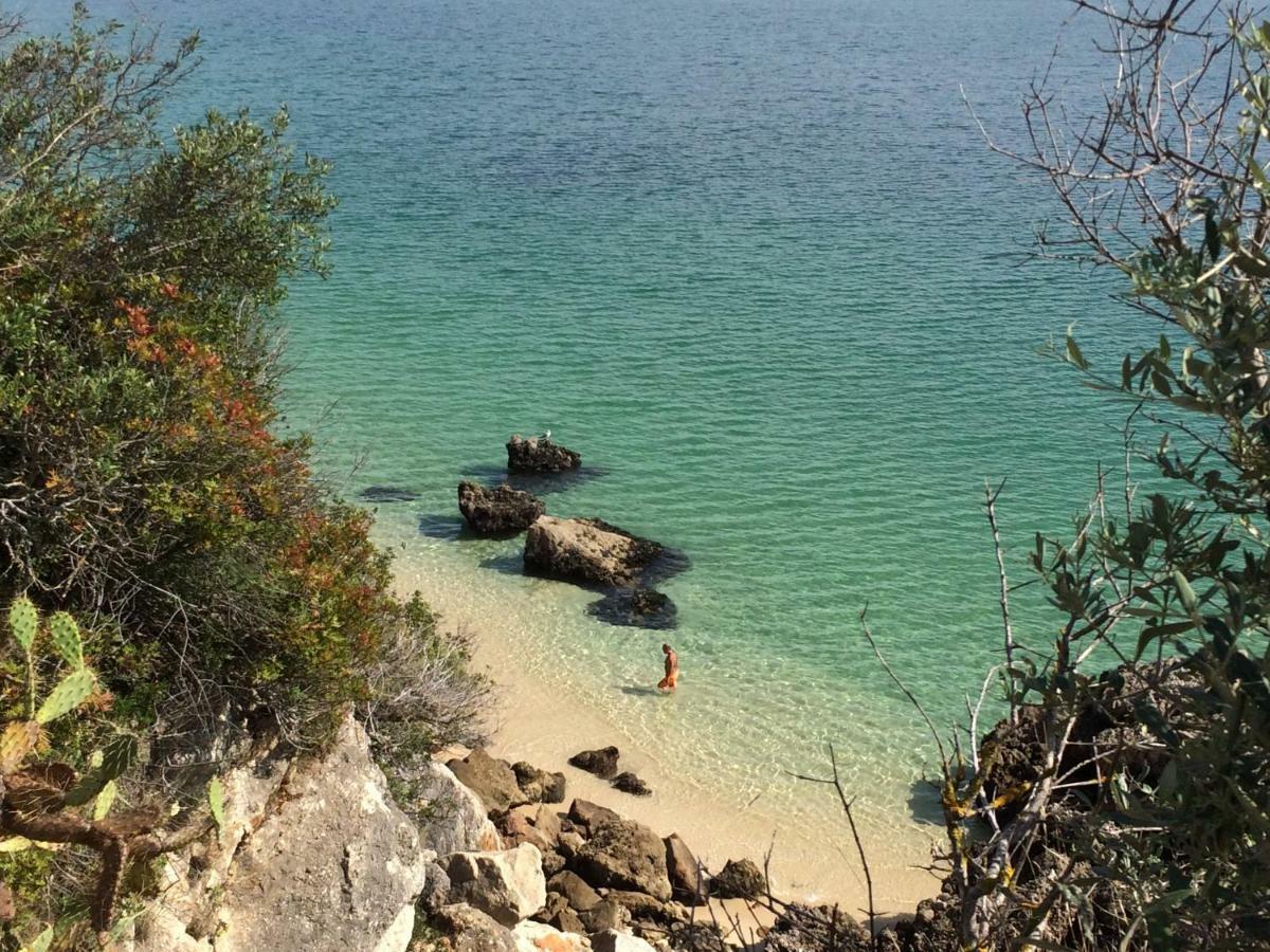 Ha Mar Ao Luar Otel Setúbal Dış mekan fotoğraf